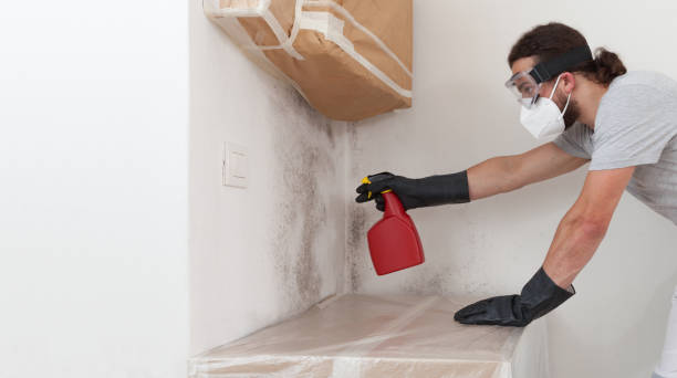 Professional Commercial Mold Remediation technician working in Little Elm, TX