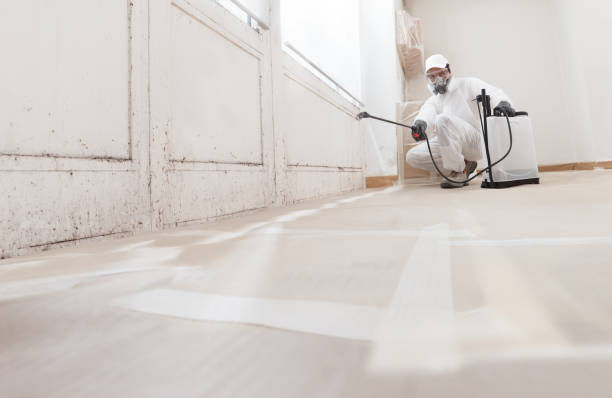 24/7 Emergency Commercial Mold Remediation experts in Little Elm, TX
