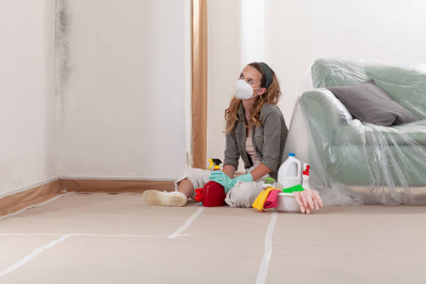 Reliable Mold Cleanup contractor in Little Elm, TX by Cheap Mold Removal